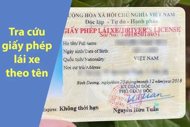 Tra cứu giấy phép lái xe: Cách tra nhanh chóng